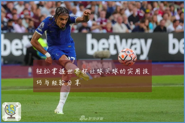 轻松掌握世界杯让球买球的实用技巧与经验分享