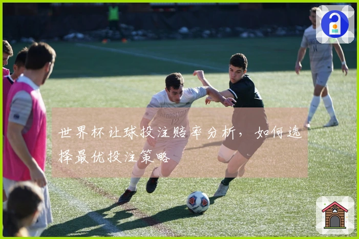 世界杯让球投注赔率分析，如何选择最优投注策略