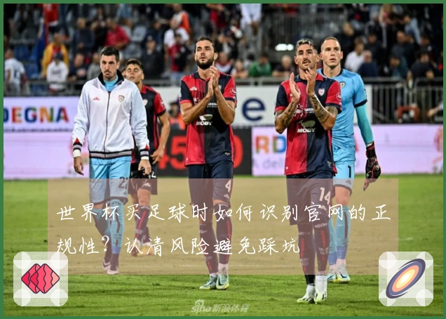 世界杯买足球时如何识别官网的正规性？认清风险避免踩坑