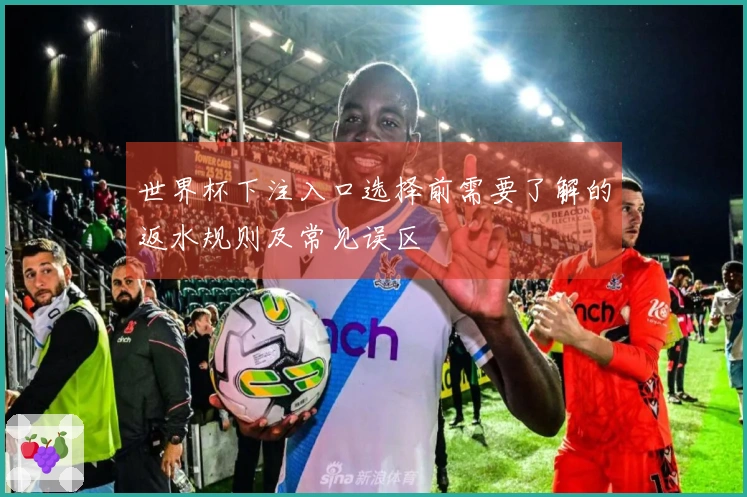 世界杯下注入口选择前需要了解的返水规则及常见误区