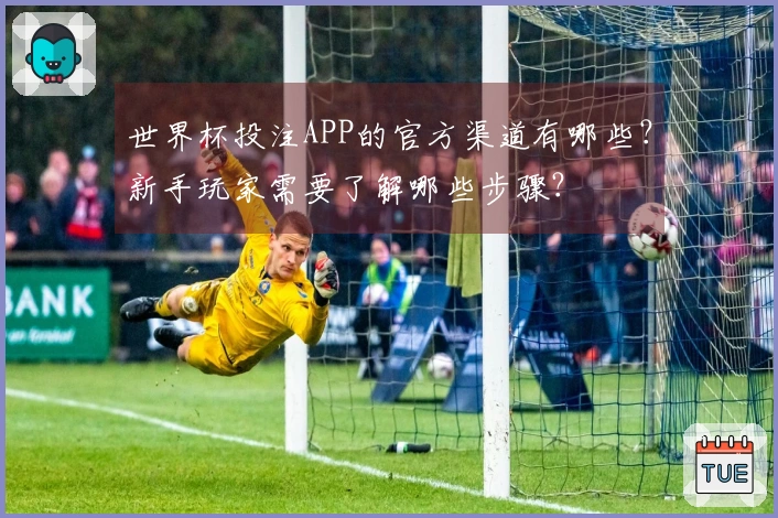 世界杯投注APP的官方渠道有哪些？新手玩家需要了解哪些步骤？